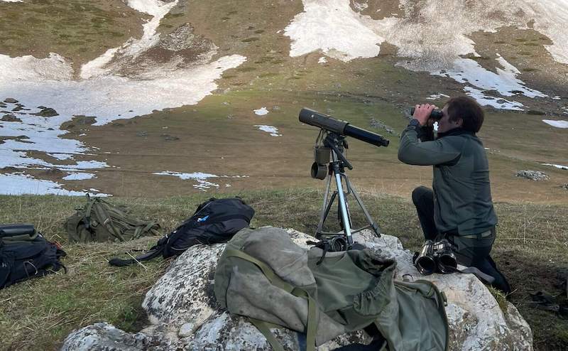 descrizione immagine