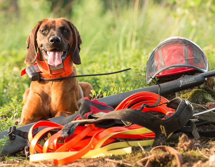 descrizione immagine